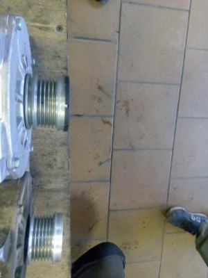 IMG_20170424_145619 (Small).jpg