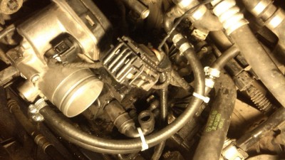IMG_20170117_114137.jpg