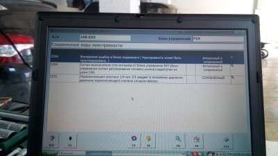 image1.jpeg
