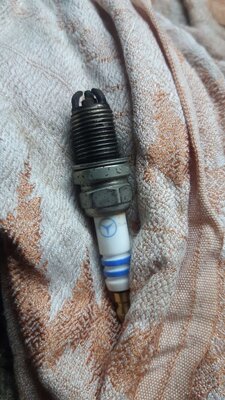 imgonline-com-ua-Resize-qYYS4G98hp4NVWXF.jpg