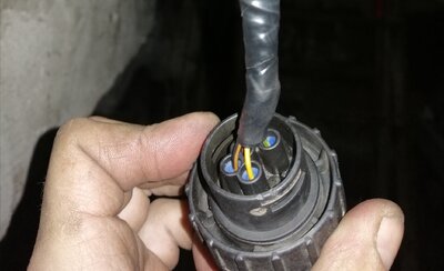 IMG_20201121_192614_resize_17.jpg