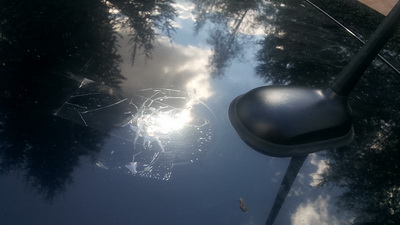 20140801_120033.jpg